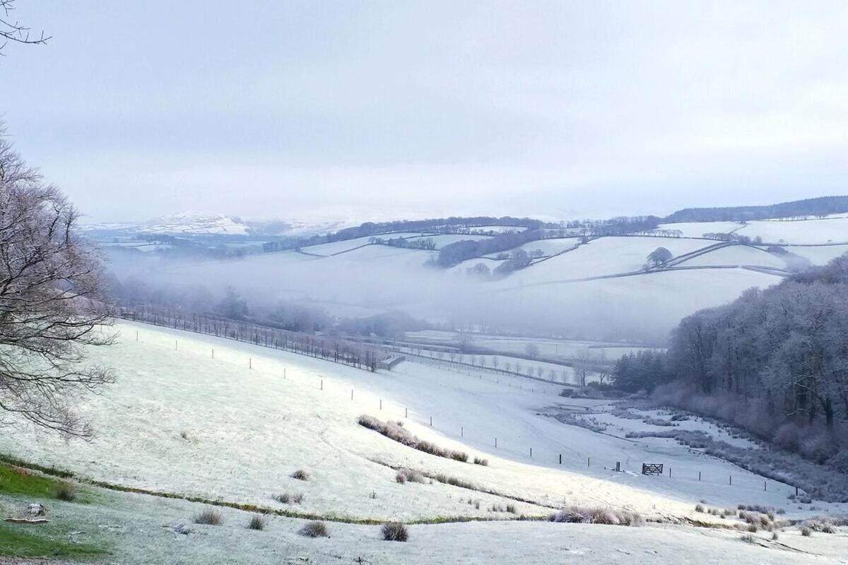 Lobhill Farmhouse Bed And Breakfast And Self Catering Accommodation Okehampton Room photo