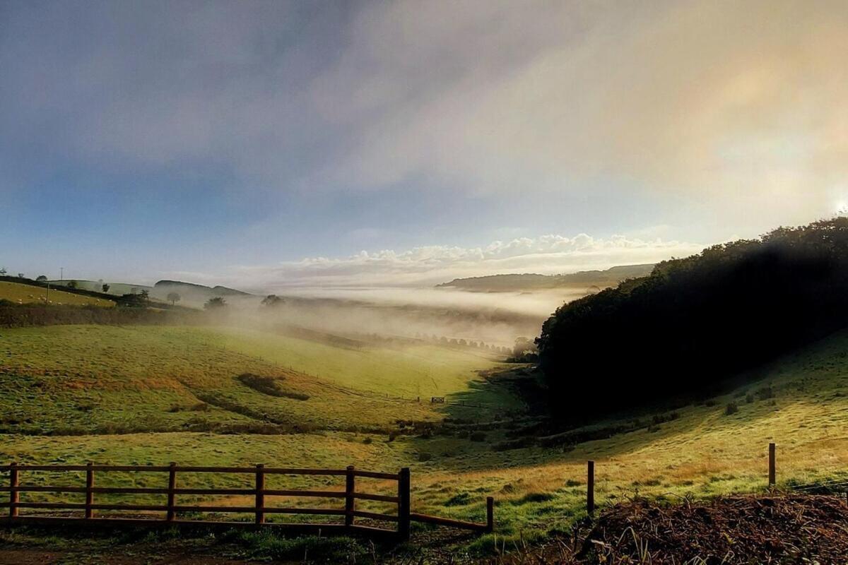 Lobhill Farmhouse Bed And Breakfast And Self Catering Accommodation Okehampton Room photo